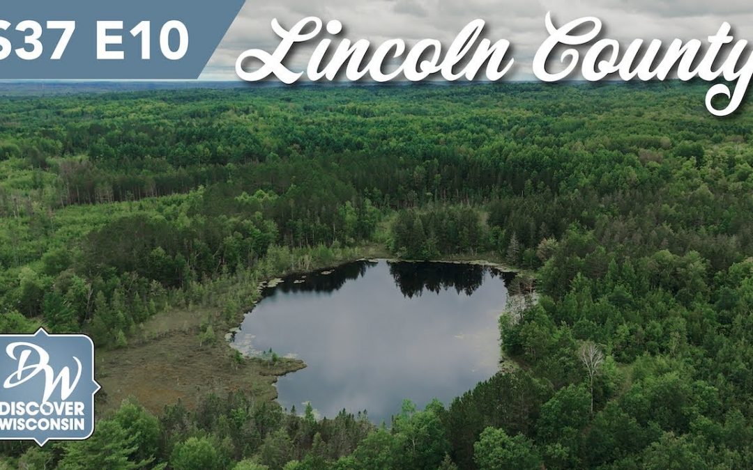 Lincoln County – What’s Behind the Trees