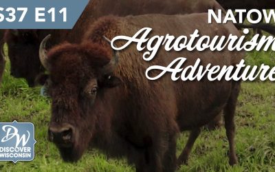 NATOW – An Agritourism Adventure