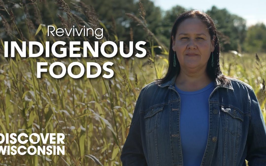 Healing Traditions: Reviving Indigenous Foods with Wild Bearies