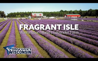 Fragrant Isle — Washington Island’s Only Lavender Farm