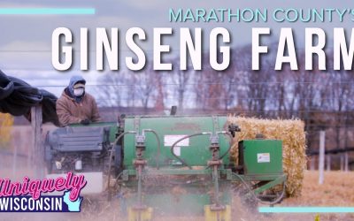 Ginseng Capital of America | Hsu’s Ginseng Story | Uniquely Wisconsin