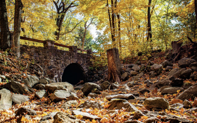 Celebrate Fall in Sauk County: Festivals & Fun Await!