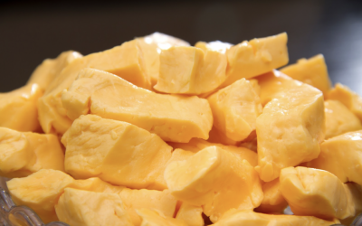 From Farmers’ Markets to Store Shelves: The Journey of Wisconsin’s Best Products