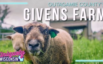 Community in the Soil | Givens Farm & Wooly Grazers | Uniquely Wisconsin