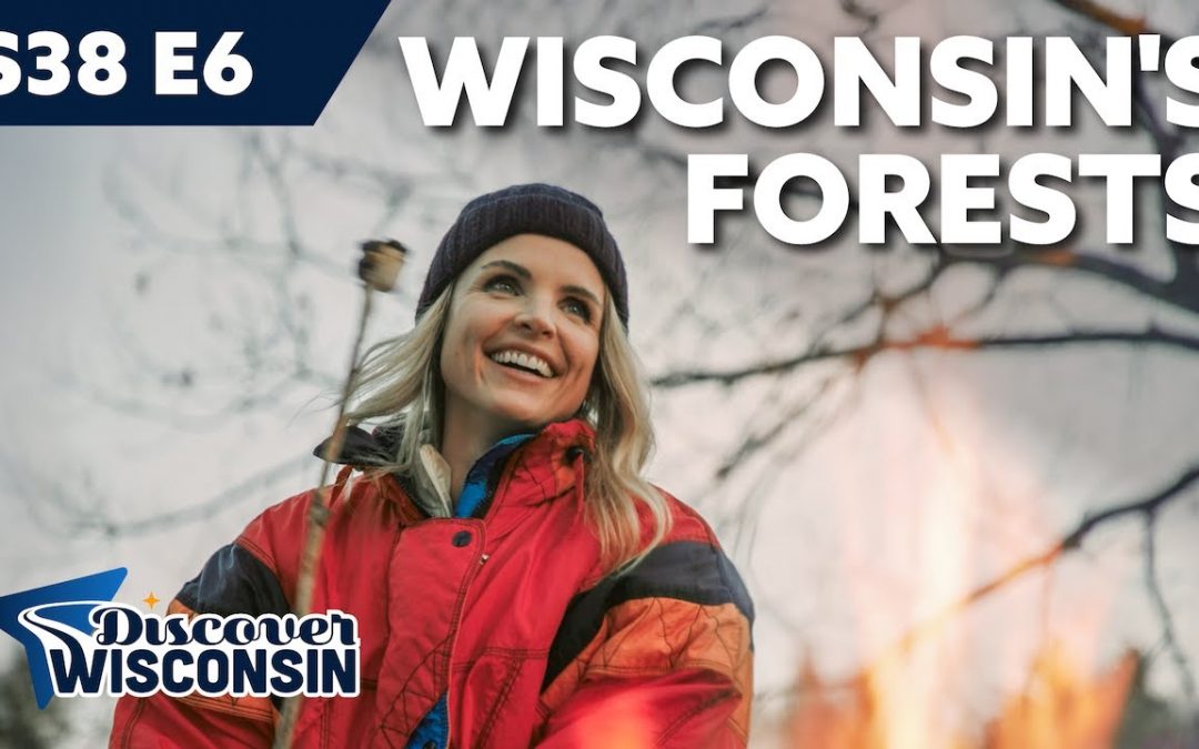 Wisconsin’s Forests — Celebrating Our Connection to Wood