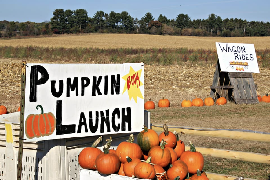 Why Shopping Local This Fall Makes a Difference