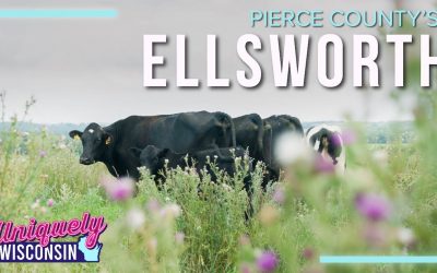 The People Behind the Cheese | Ellsworth Cooperative Creamery | Uniquely Wisconsin