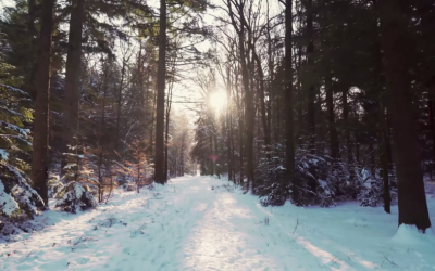 Your Winter Adventure Awaits in Lincoln County
