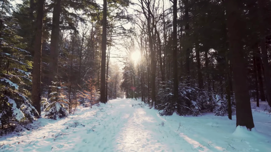 Your Winter Adventure Awaits in Lincoln County