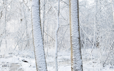 Winter Adventures Across Wisconsin’s Counties