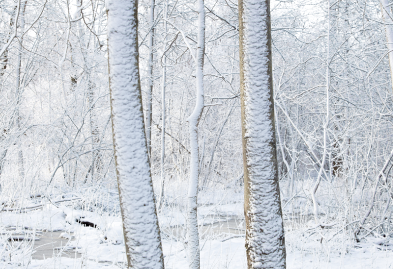 Winter Adventures Across Wisconsin’s Counties