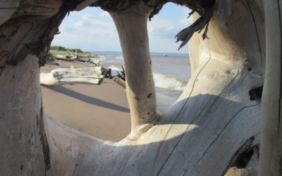 Wild & Scenic Wisconsin: Outdoor Adventures Across the Counties