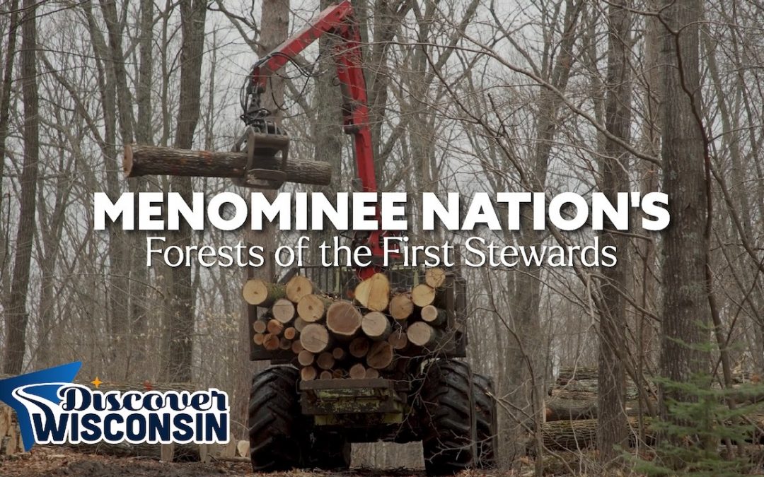 Forests of the First Stewards: The Menominee Nation’s Living History