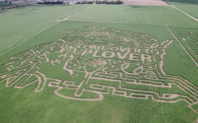 Come Over to Plover: Adventures Inside!