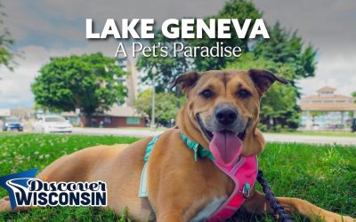 Lake Geneva: A Pet’s Paradise
