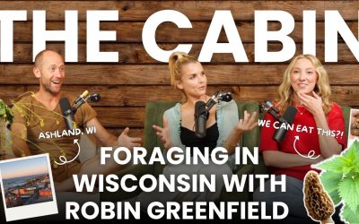 Foraging in Wisconsin (for a full year!) with Robin Greenfield